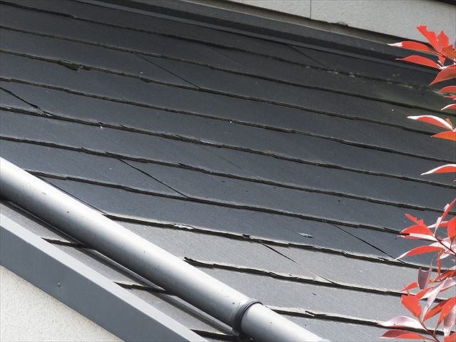 羽島市で雨樋の点検、軒樋や集水器、竪樋の支持や合流部分を確認